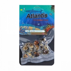 Trufas mágicas Atlantis - 15 gramos 16,50 Next Level Smartshop Webshop