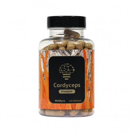 Cordyceps Mushroom Powder 120 caps - Extractos de Setas - Next Level