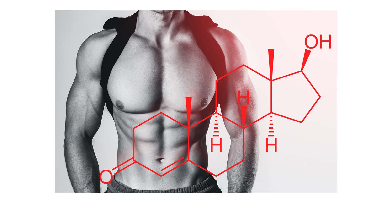 Estructura química de la testosterona