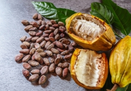 Cinco sorprendentes beneficios del consumo de cacao crudo en polvo