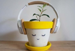 El poder de la música de las plantas: exploración de la terapia del sonido basada en plantas