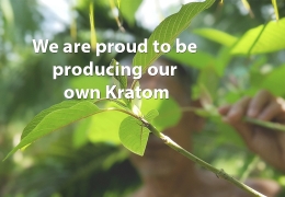 Nuestra propia fábrica de Kratom en Indonesia