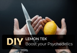 La magia de Lemon Tek: amplifica tu experiencia psicodélica